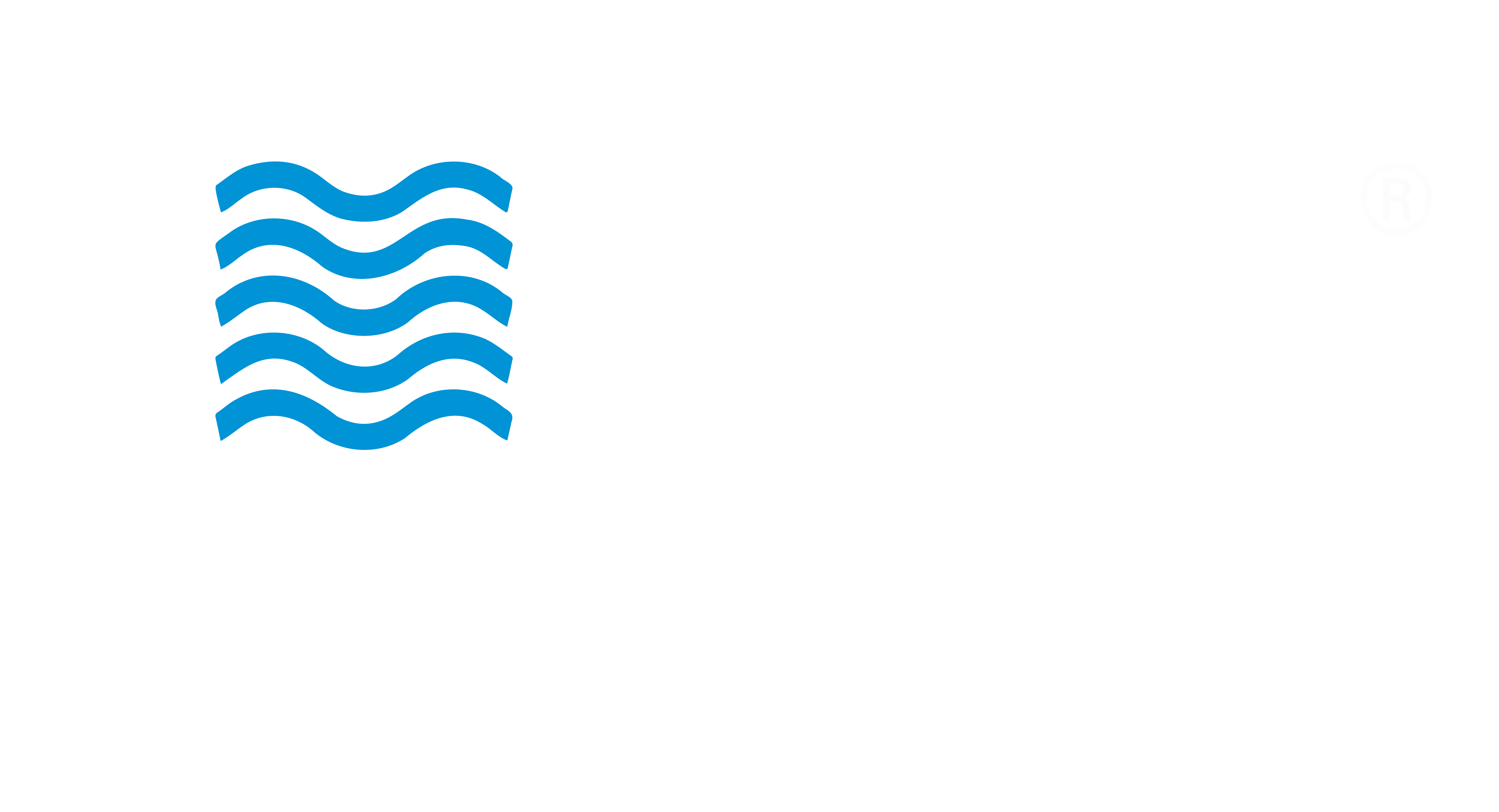 Distribuidora Rapa-Nui